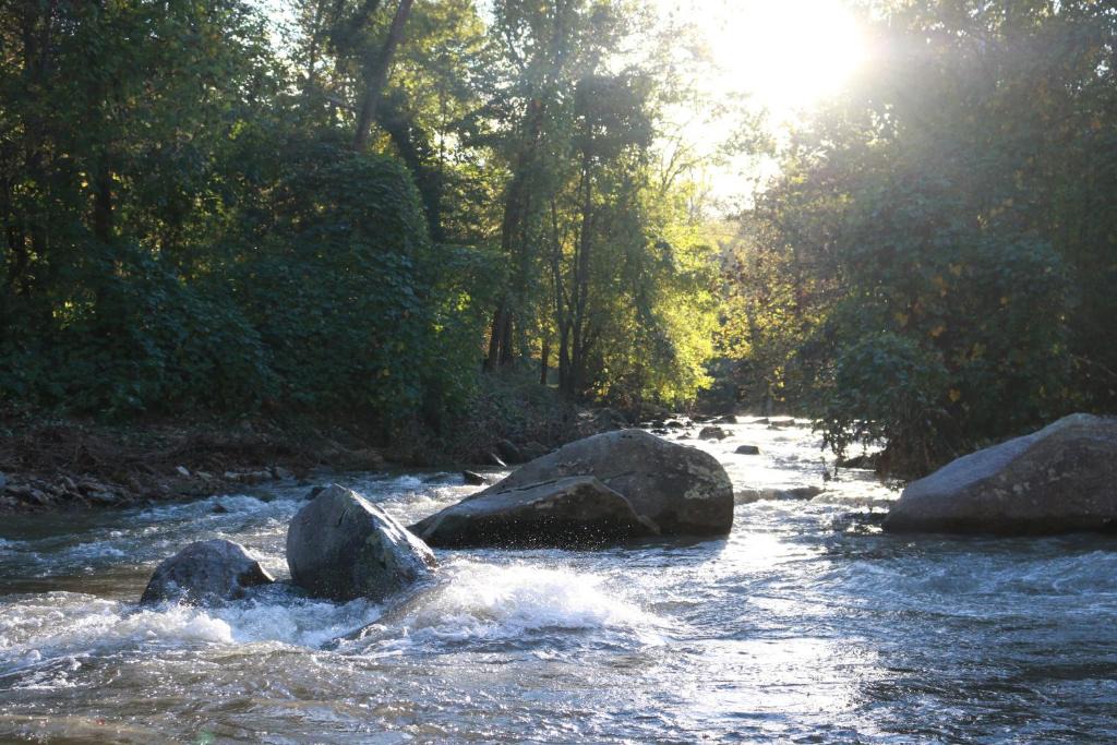 Chimney Rock Hotel | Riverside Lodge at Chimney Rock