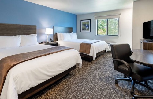 Plainfield Hotel | Affordable Accommodation Near Sodalis Park, Pet-Friendly Too!