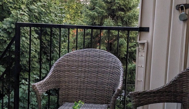 1 Bedroom near the Olympic Stadium (Free Parking) in Montréal