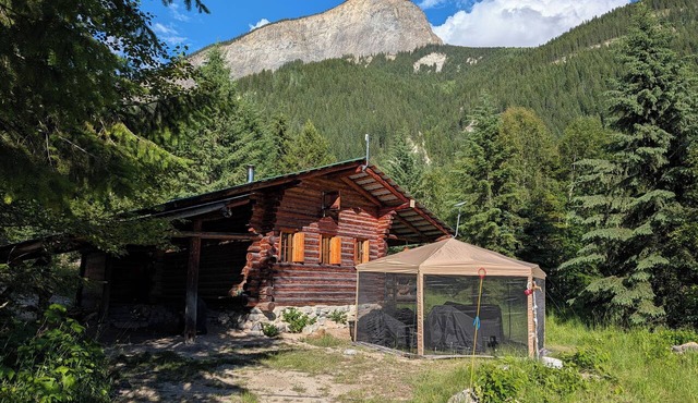 A Swiss chalet styled cabin in the woods with rustic charm. A peaceful getaway. in Blaeberry