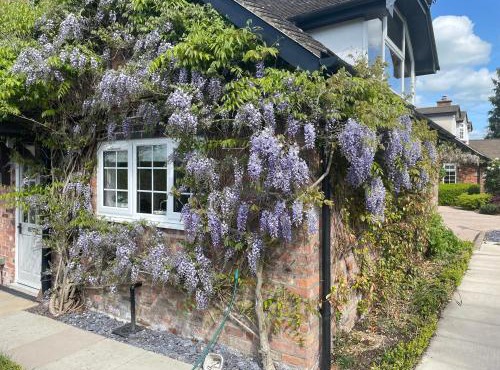 Curlew Cottage in Knutsford