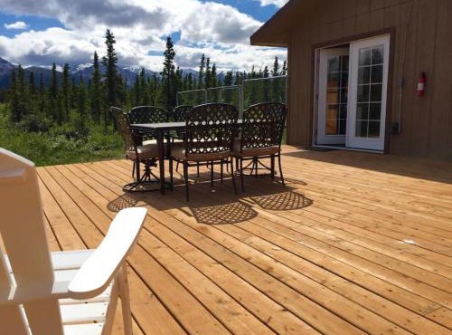 Denali Park 2 Bedroom Mom in Law in McKinley Park