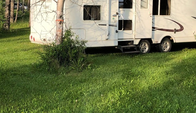 Eagle- Camper at Sunset Bay in Onanole