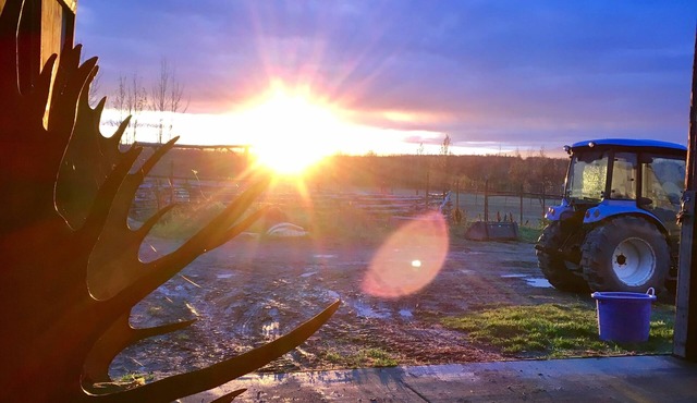 Sunderland Ranch Guest Barn - Your Rustic Ranch Getaway in Palmer