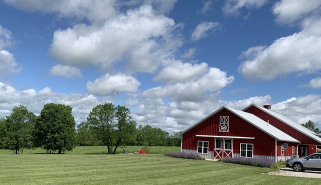 The Barn at Deva's Farm: Haute Blue Grass - Chill Retreat in the countryside in Cynthiana