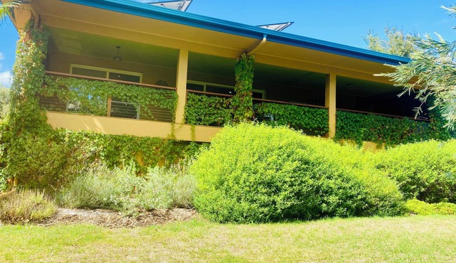 Tropical oasis/pet friendly. Golf, hot springs, beach nearby. Large games room. in Capel Sound