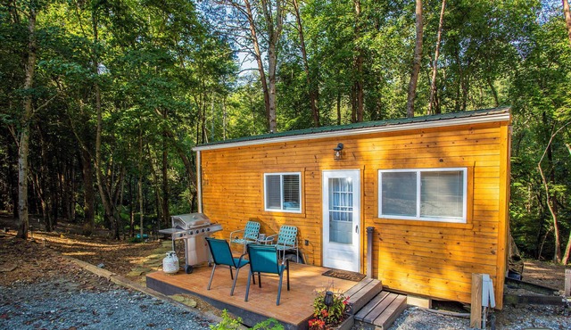 Unique Tiny Cabin at Farmstead | Lake Lure 2 miles in Mill Spring