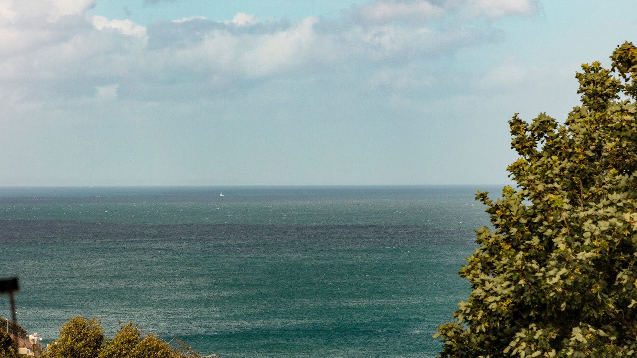 Photo of Others in Mevagissey