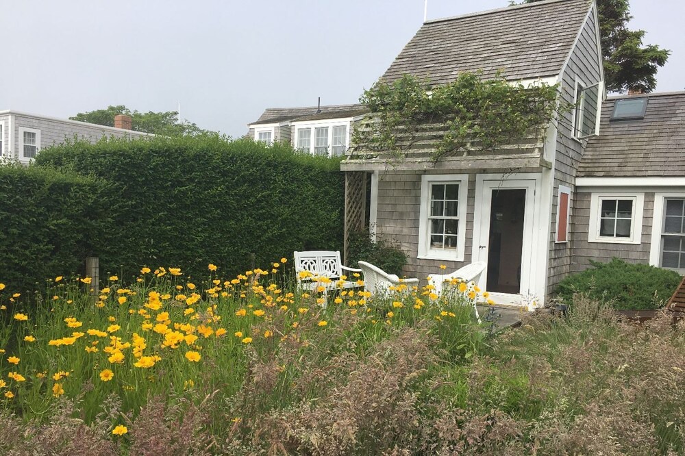Photo of Others in Siasconset