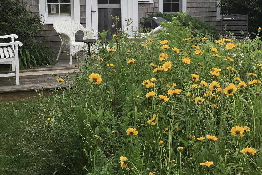 Photo of Outdoor in Siasconset