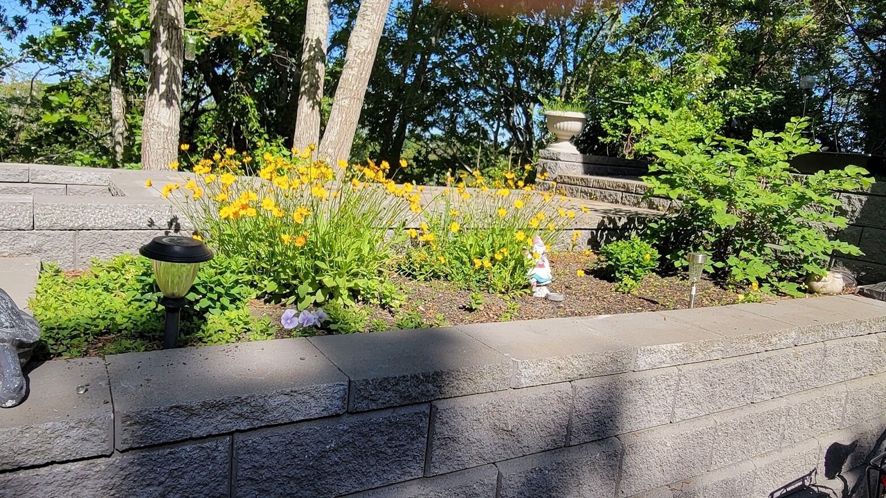Photo of Outdoor in Provincetown