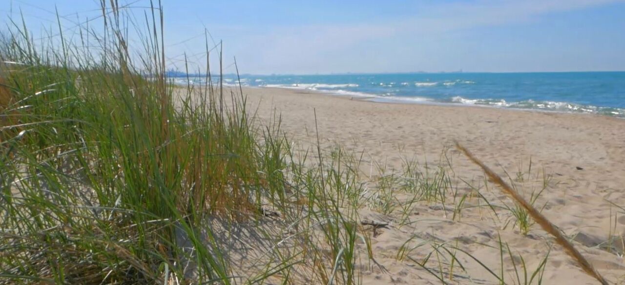 Photo of Outdoor in Miller Beach
