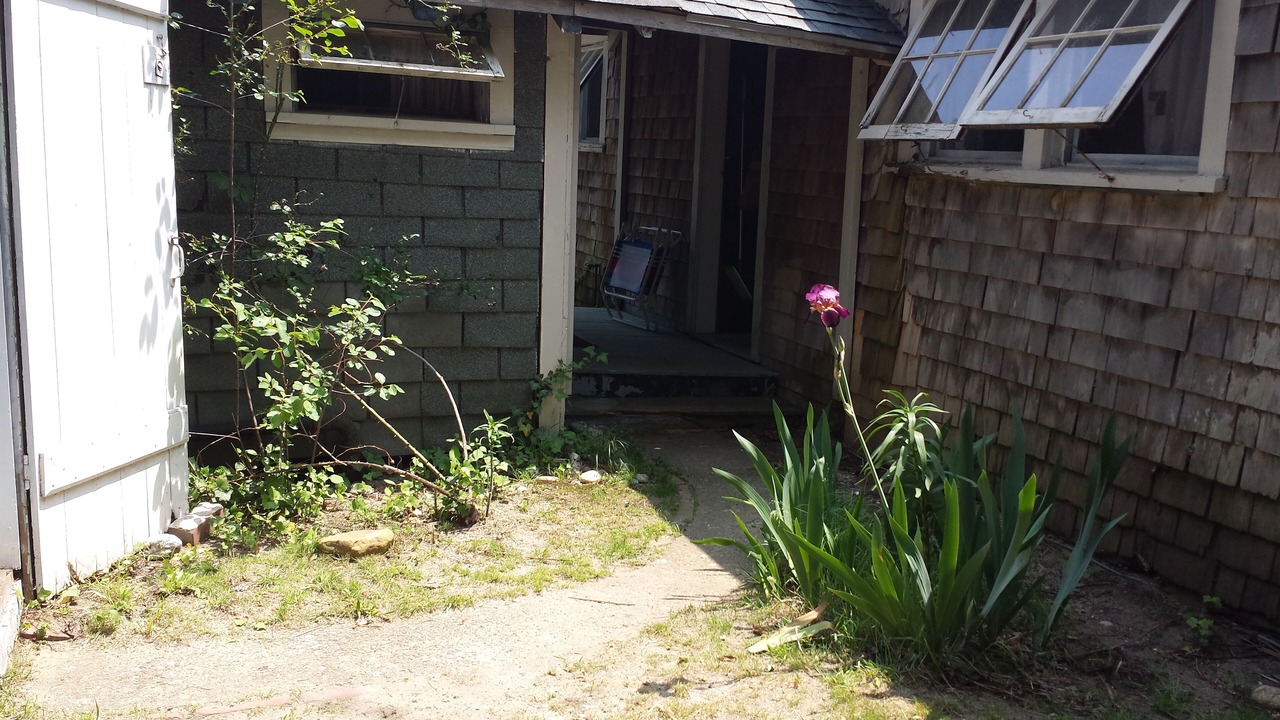 Photo of Outdoor in East Chop
