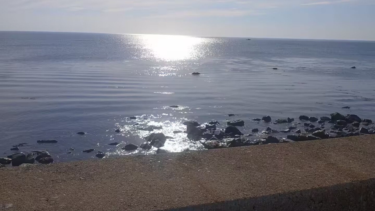Photo of Others in Marshfield