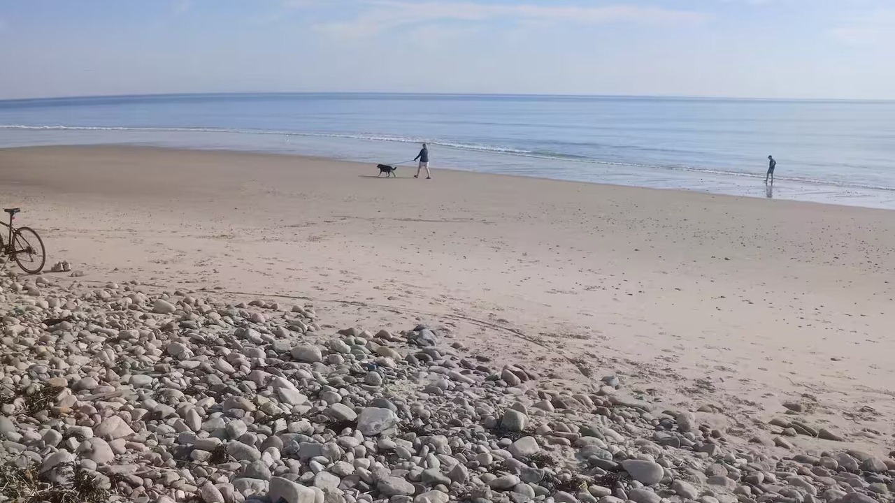 Photo of Others in Marshfield