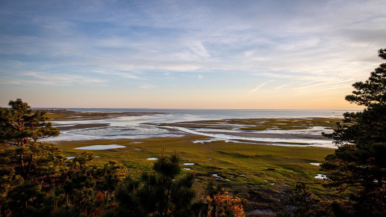 Photo of Others in Wellfleet