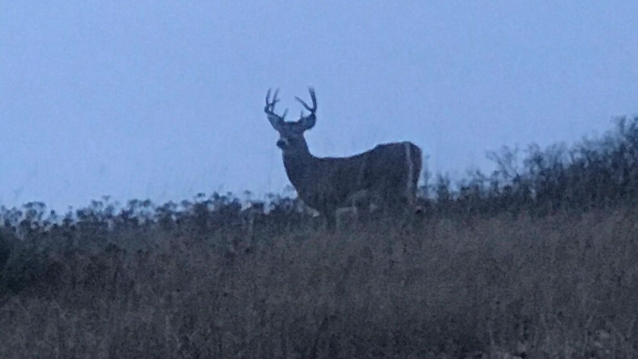 Photo of Others in Colville