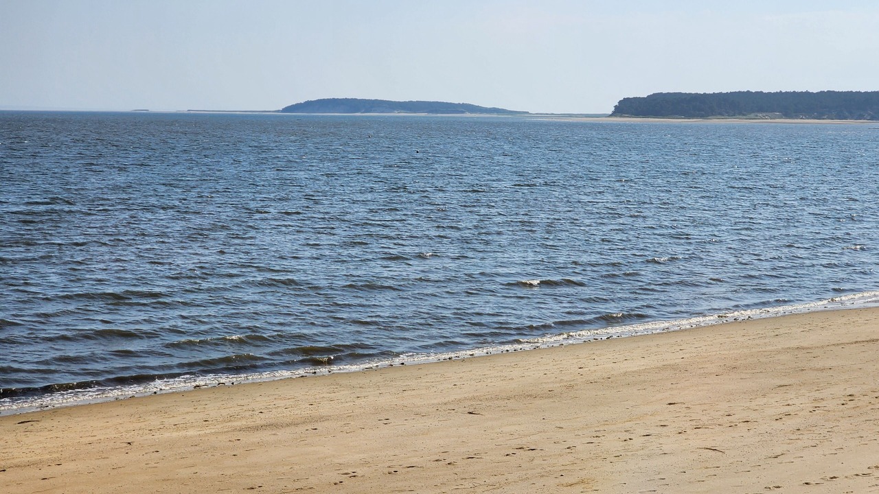Photo of Others in Wellfleet