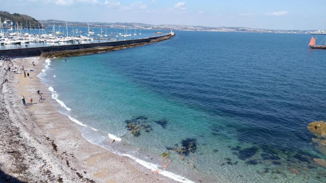 Photo of Others in Brixham